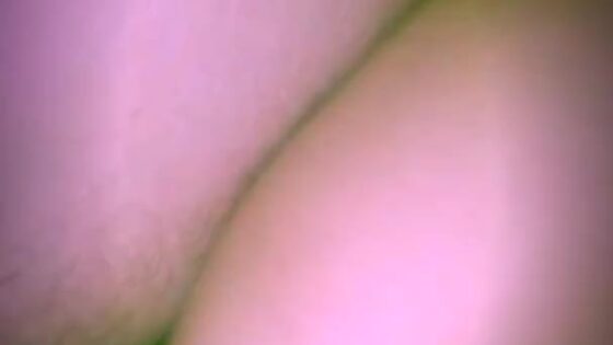 Anal Makes Her Scream So Loud