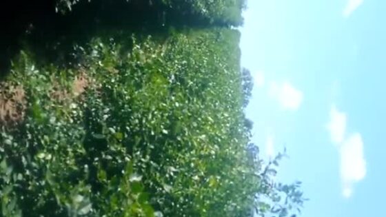At A Super Crowded Farm Opening Day People Everywhere Subscribe For More For Free