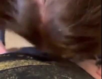 Blow And Fuck