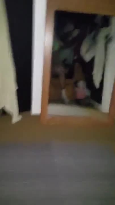 Gf Sucking In Panties